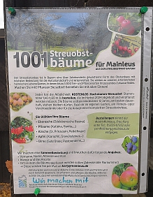 Streuobstwiese.jpg